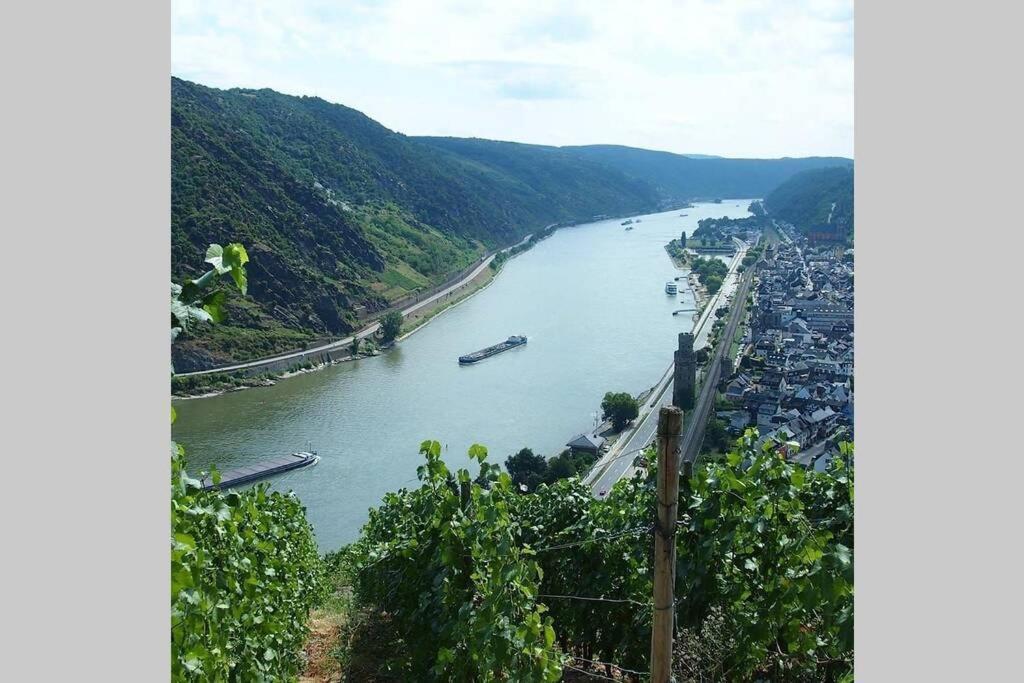 Ferienwohnung Rheinblick Bacharach Am Rhein Exterior photo